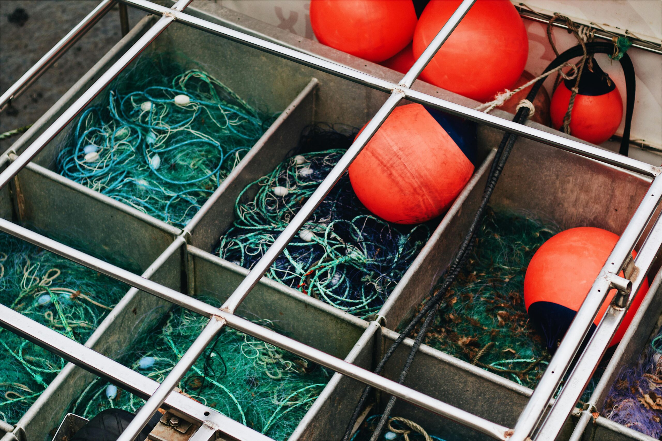 From Seining to Sorting: The Essential Gear List for a Profitable Fish ...